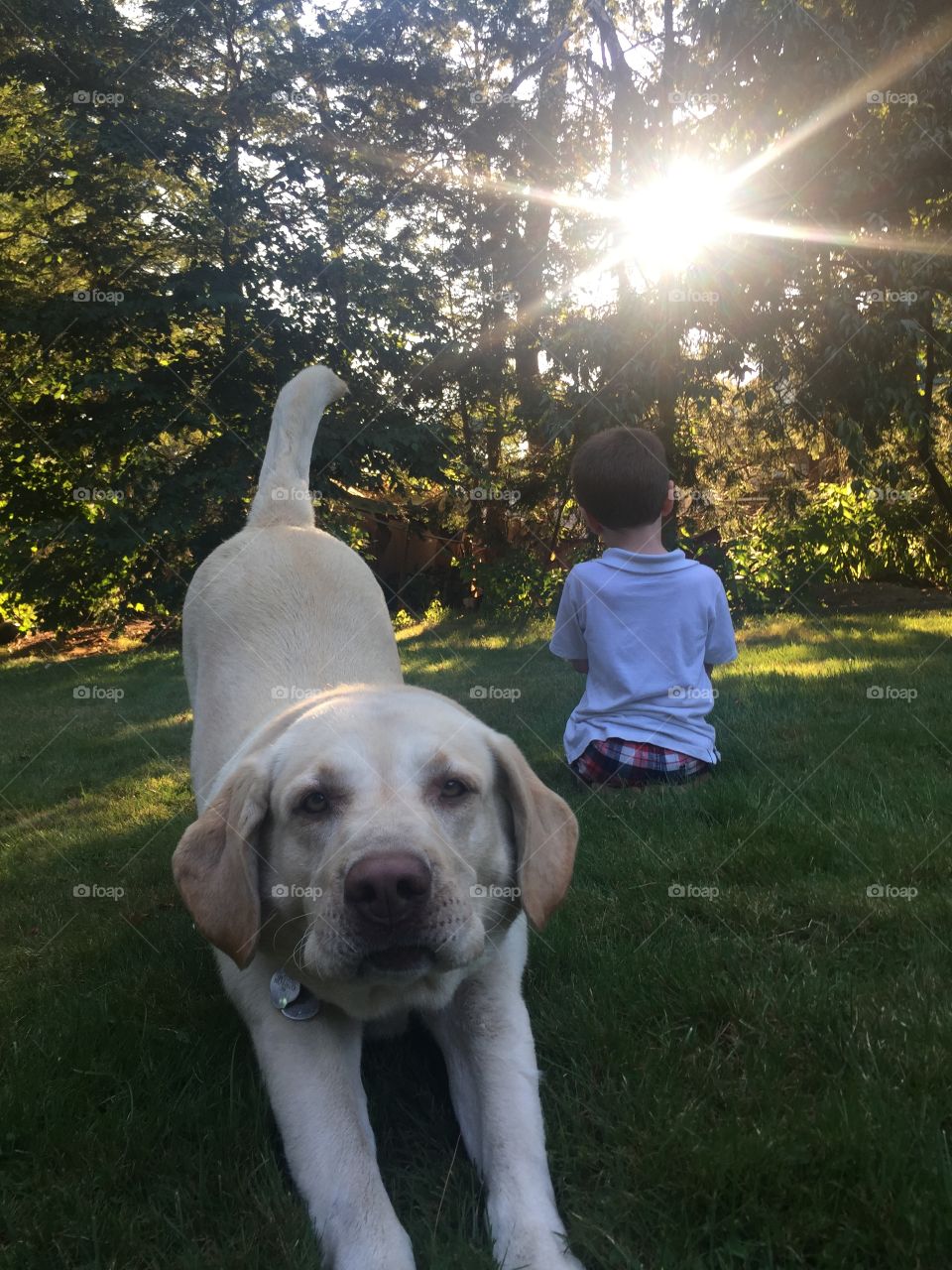 Boy and Dog