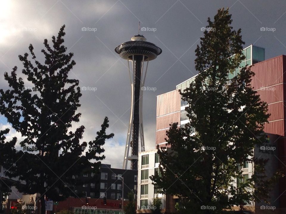 Seattle's space needle  