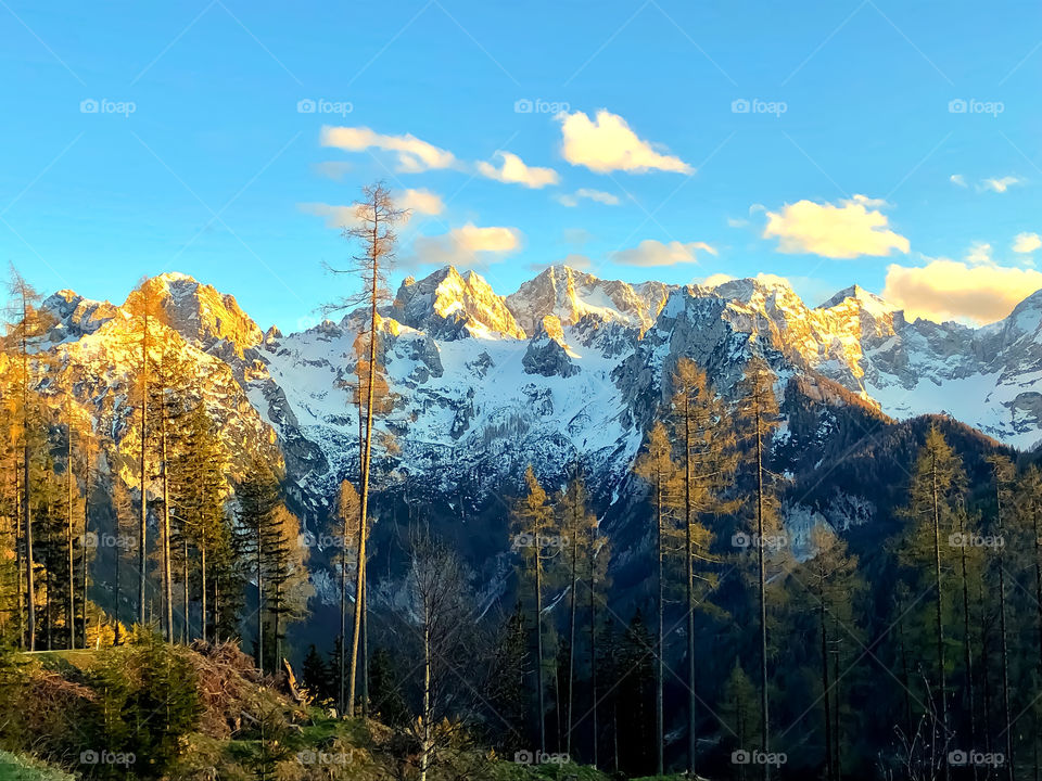 Abendlicht der Sonne streift das Gebirge und die Bäume