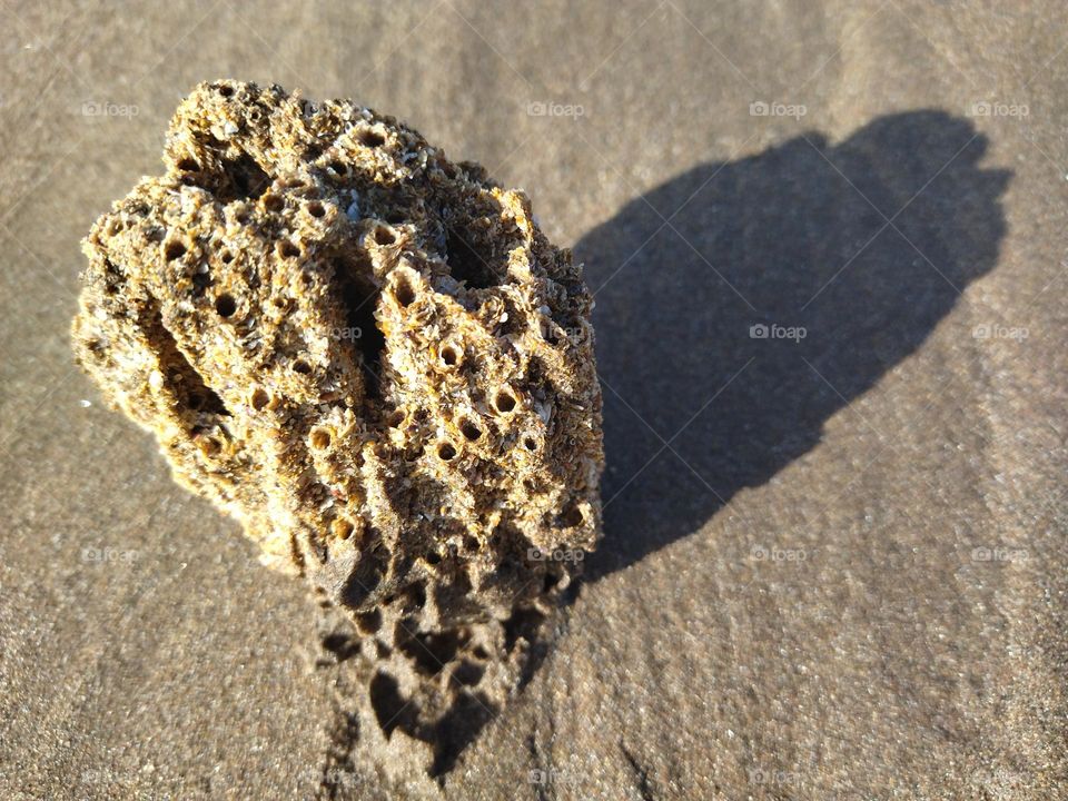 Rock beach and shadow