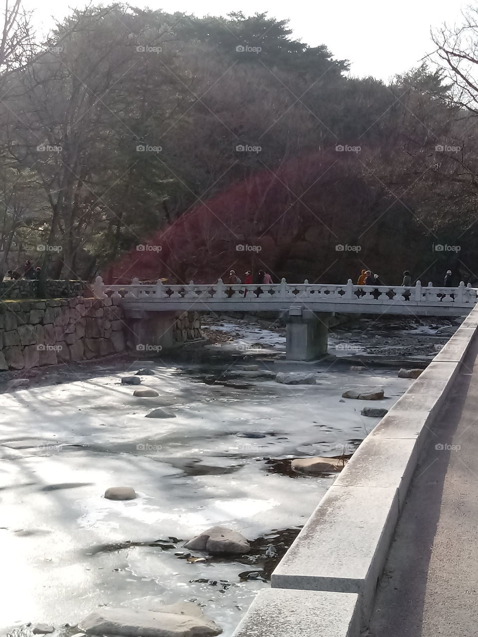 Icy River.
the snow covering the River water.