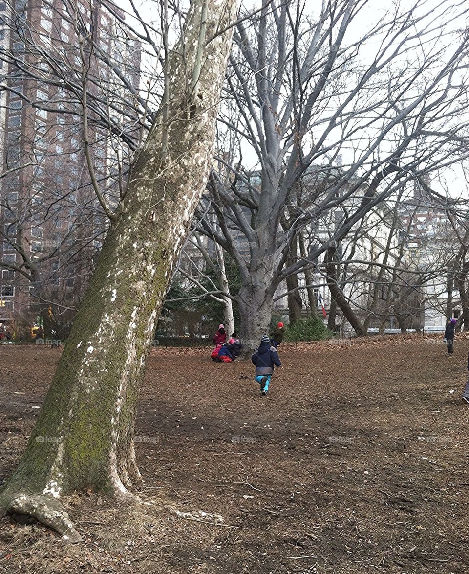 Park playground