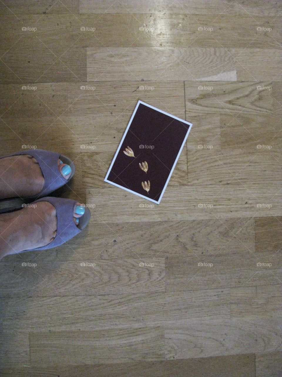 Post card on wooden floor