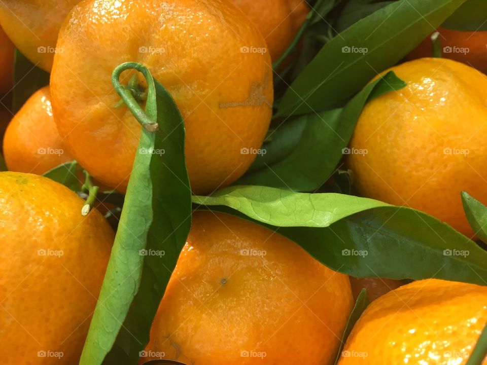 Tangerines