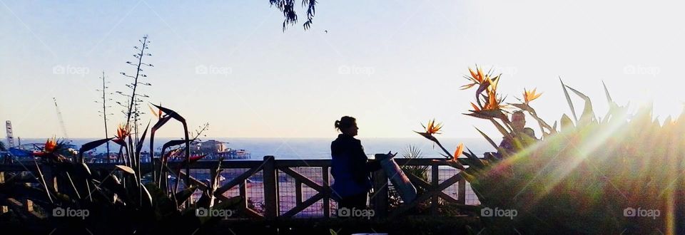 Silhouette woman at Santa Monica beach lookout.