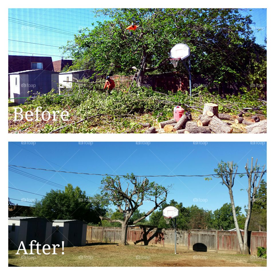 People Gardening Mission . People Gardening / People Tree trimming