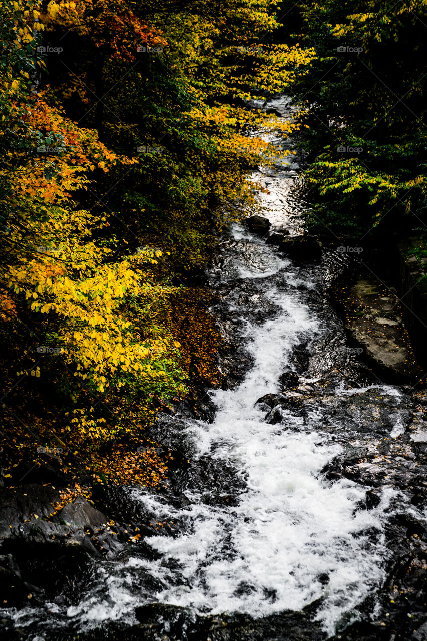 Autumn in Oslo