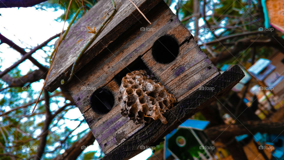 birdhouse