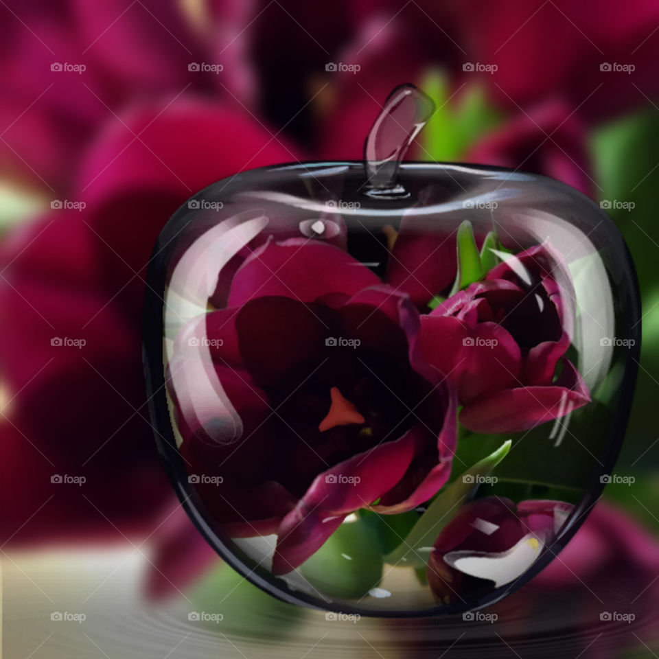 Tulip in apple