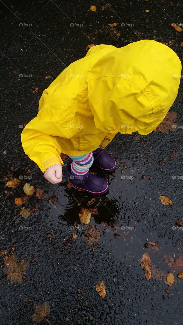 puddle jumping