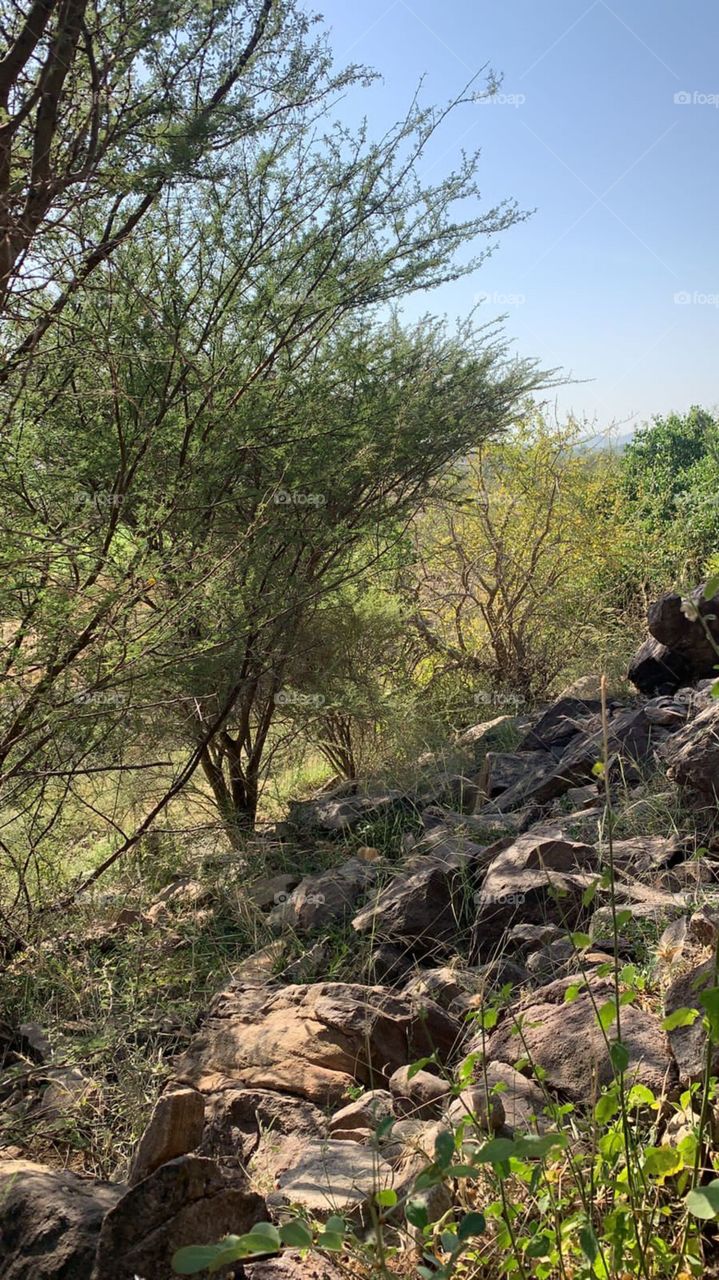 i am poor and need dollars, I have family conditions