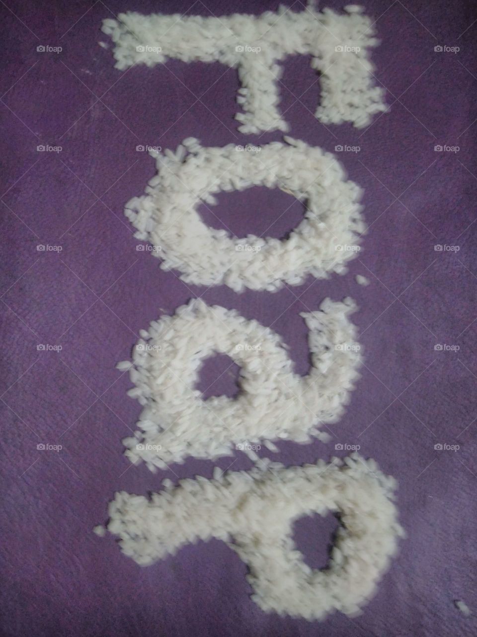 The grains of rice are arranged into a special name.
