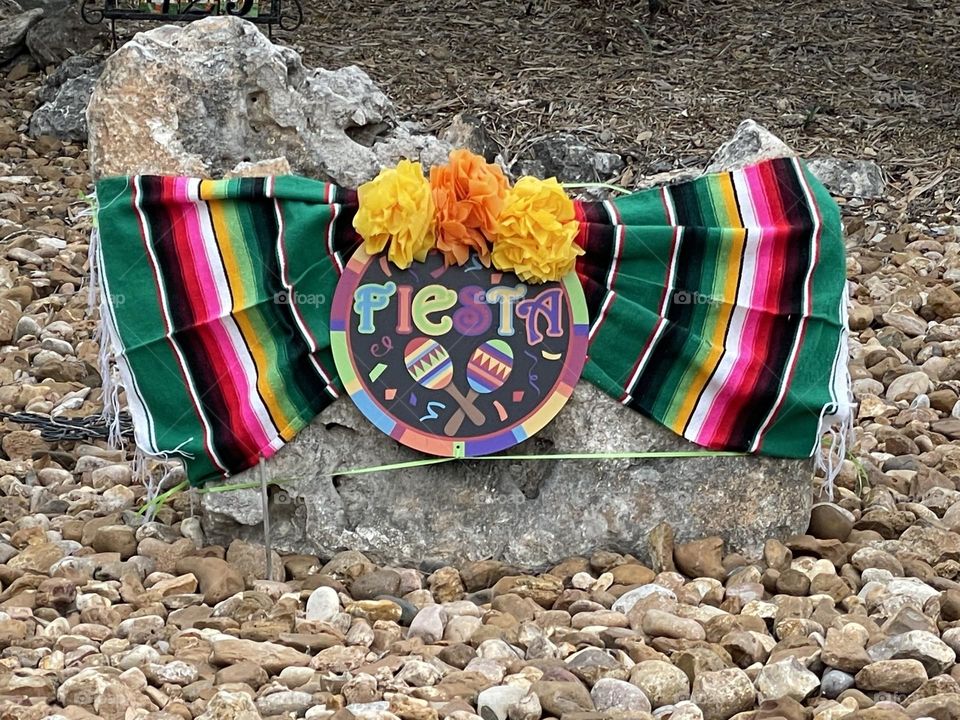 Fiesta spring time 