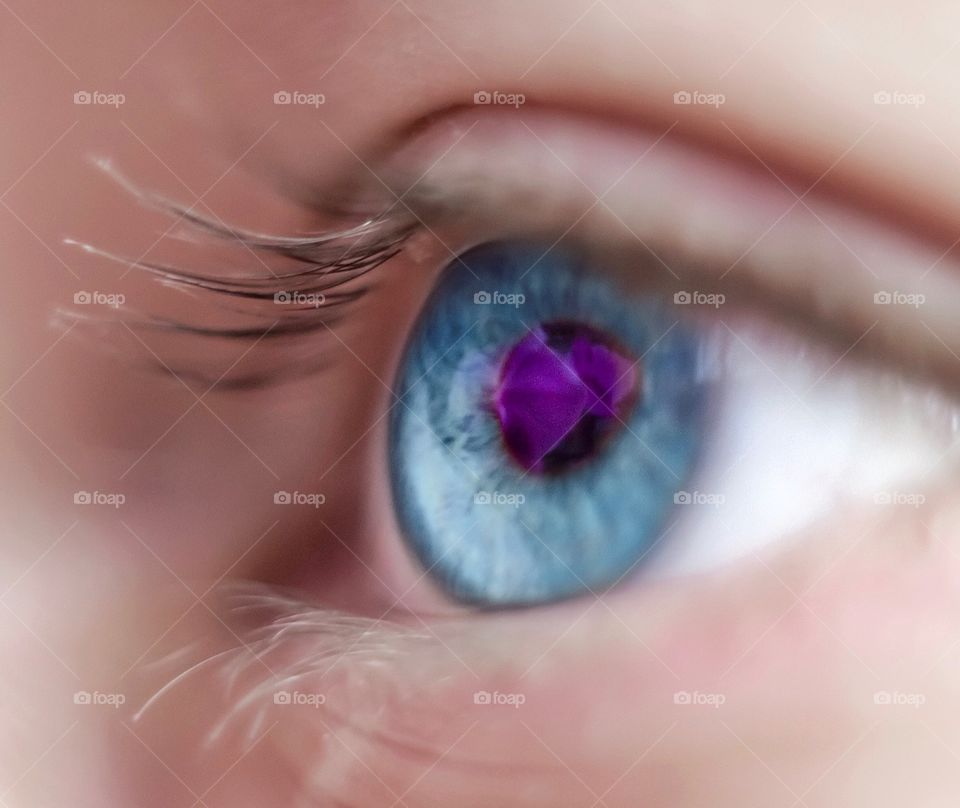 reflection of a flower in the blue eye