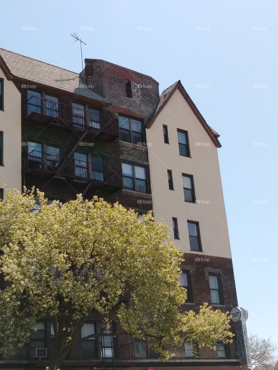 apartment clear sky. trees
