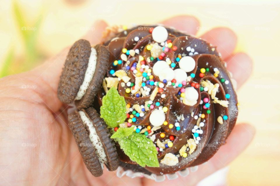 High angle view of a person holding cupcake