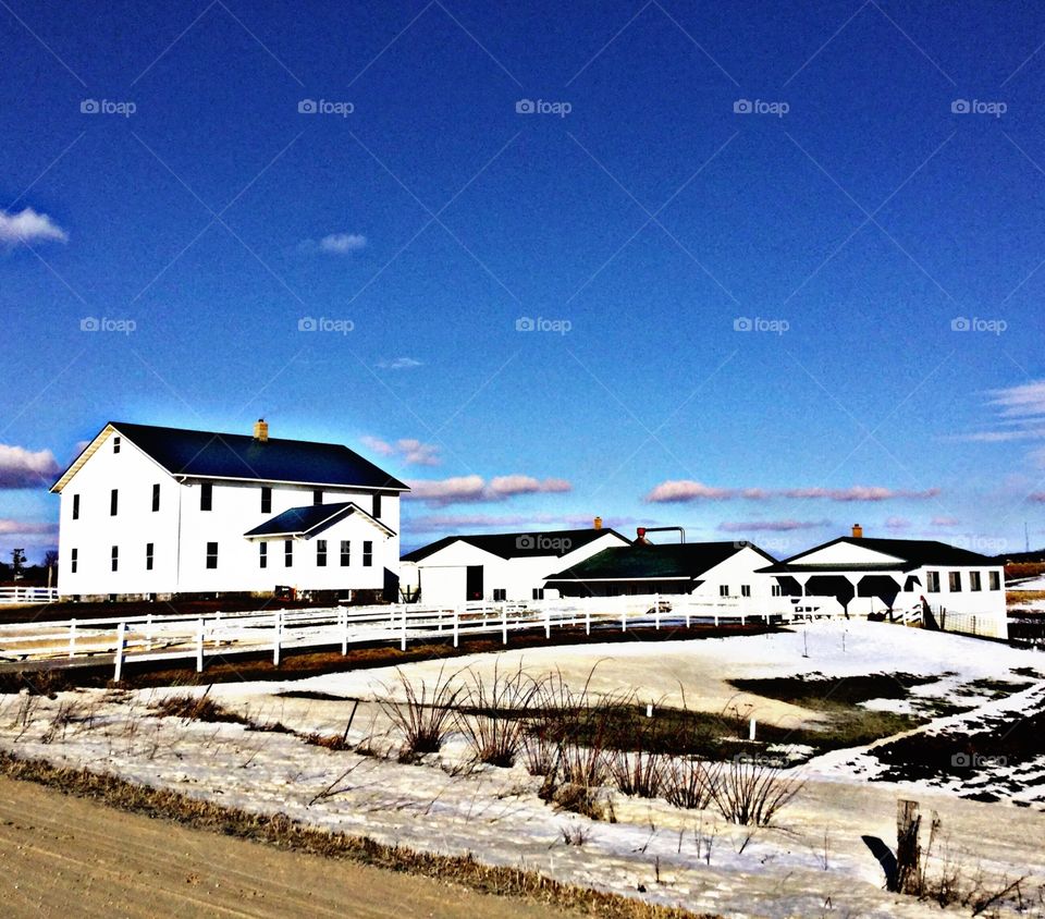 Amish farm 