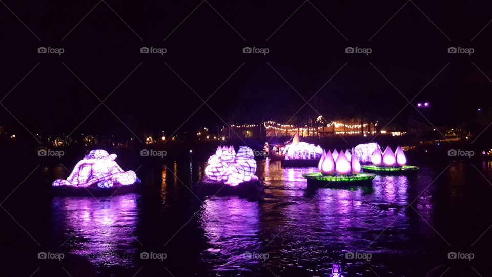 Light folks the waters of Discovery River during Rivers of Light at Animal Kingdom at the Walt Disney World Resort in Orlando, Florida.