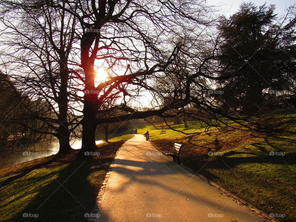 in the park