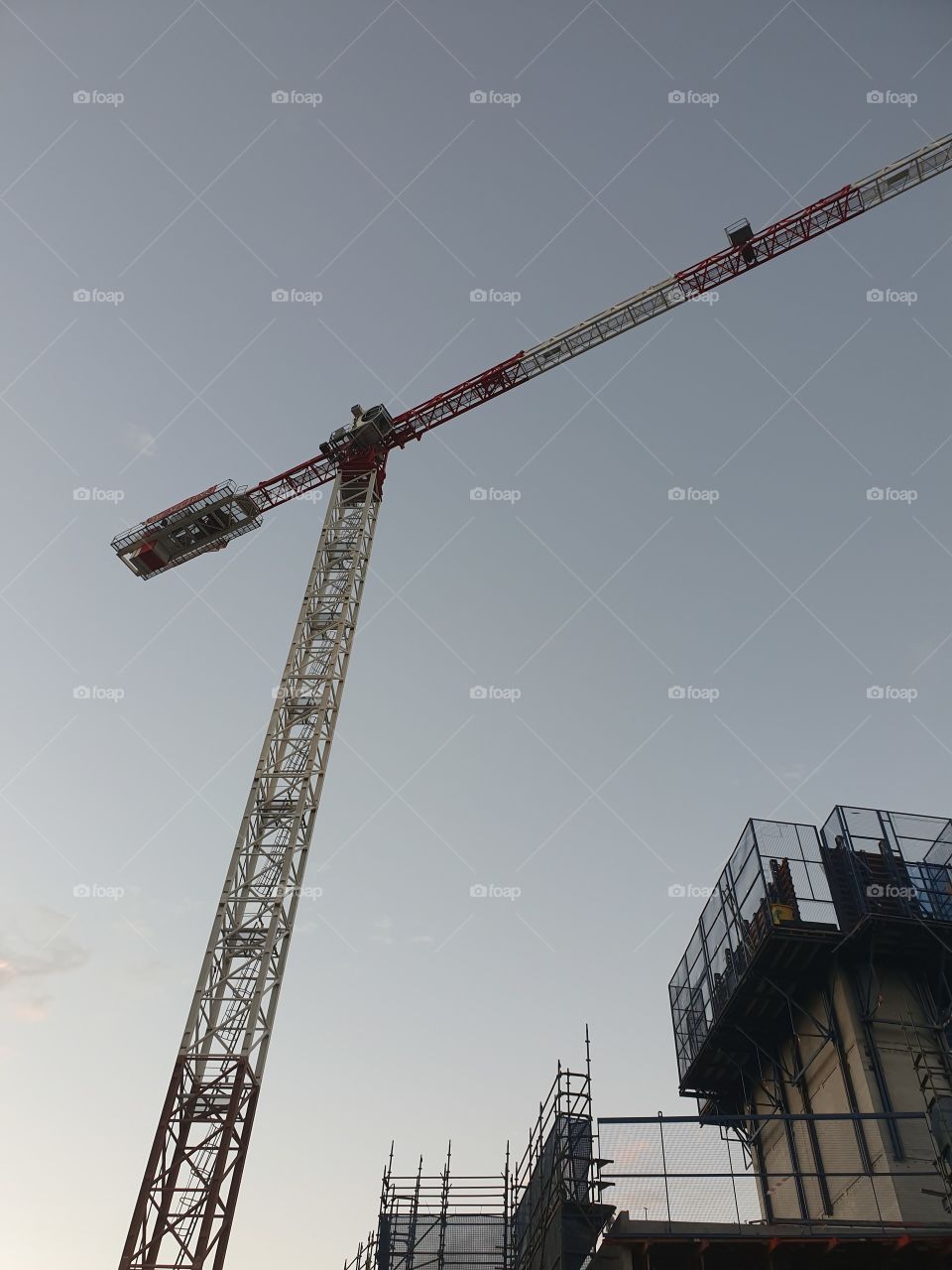 Crane at work