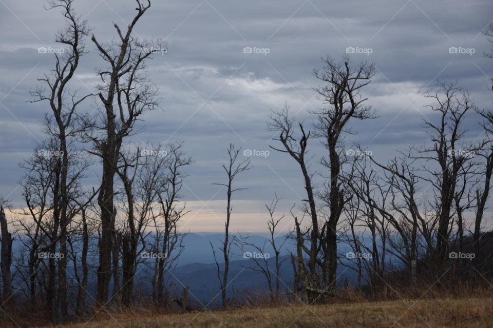 Sentinels standing watch over time