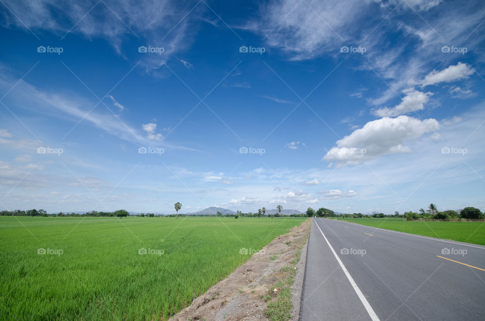 road on natural and bluesky background. raod to natural and bluesky