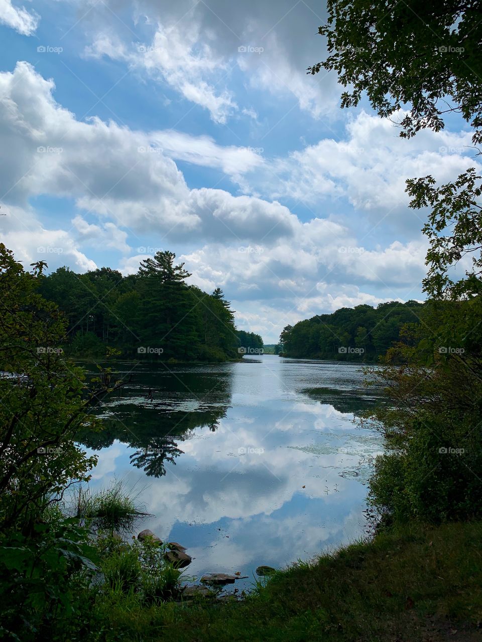 Lake morning view 