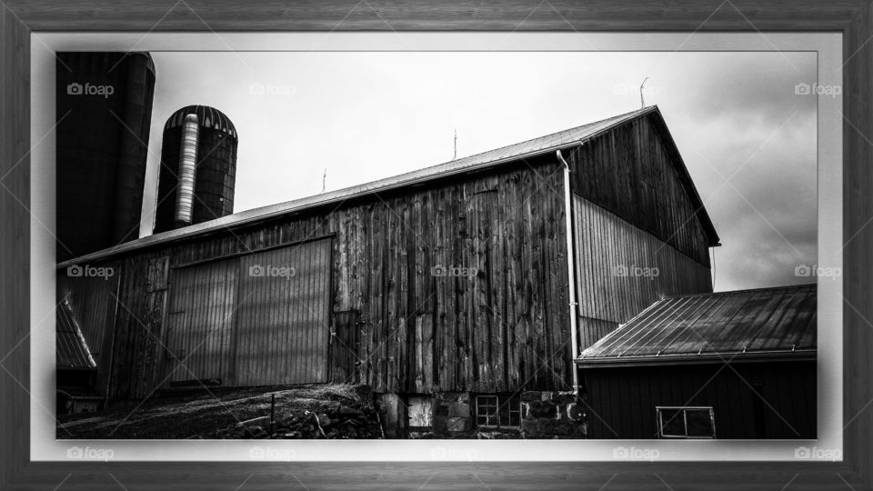 A Very Windy Cold Spring Day