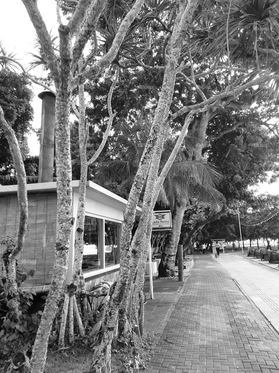 A mini building and its pathway surrounded by trees