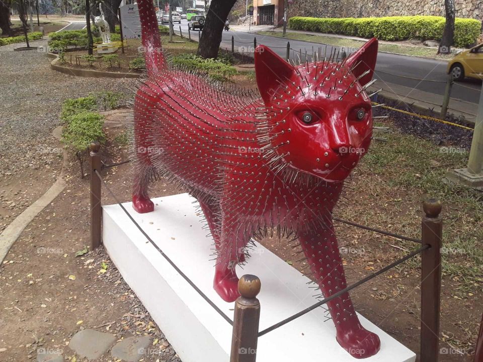 gato colorado espinosos