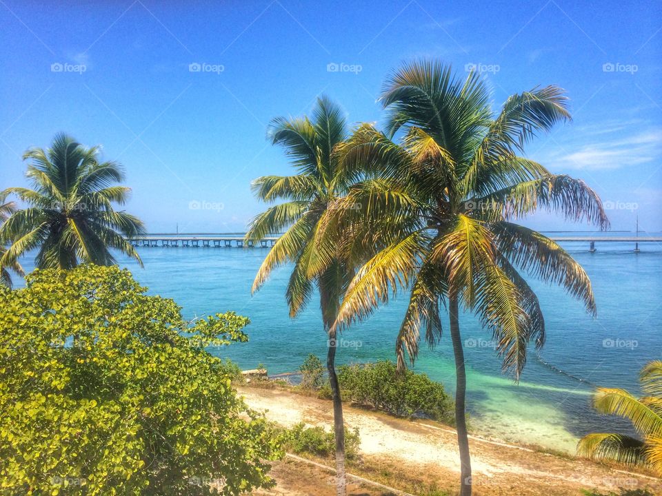 Bahia Honda. Enjoying the beauty of Bahia Honda State Park in the Florida Keys 