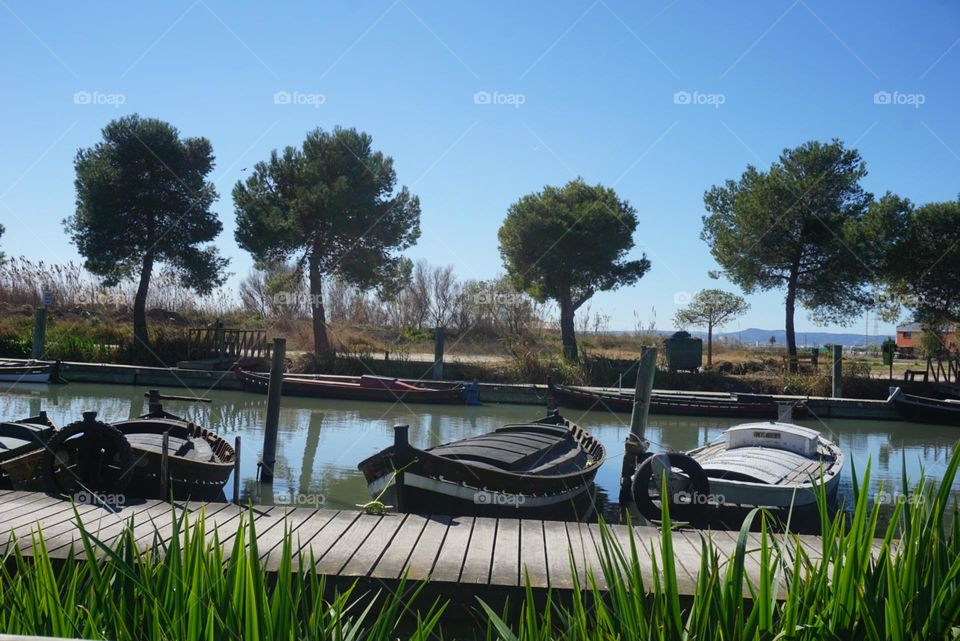 Port#boats#lake#nature#wood#walk