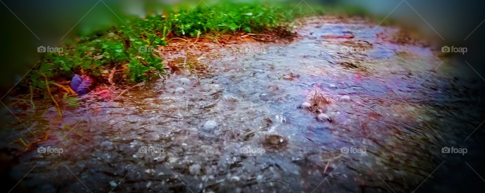 Chaotic raindrops running down a suburban creek full of lush spring colors as the sun gleams down to earth "Rainbows & Raindrops"