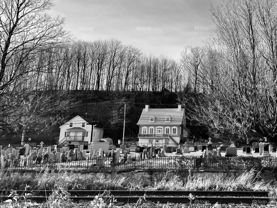 Cemetery in the Backyard…