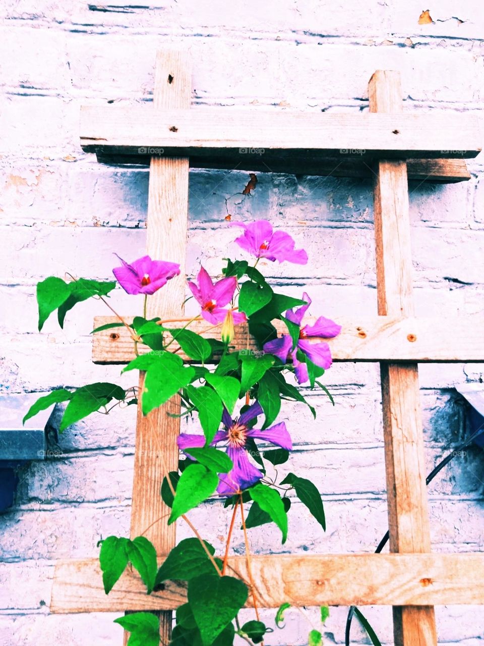 Mobile series plants