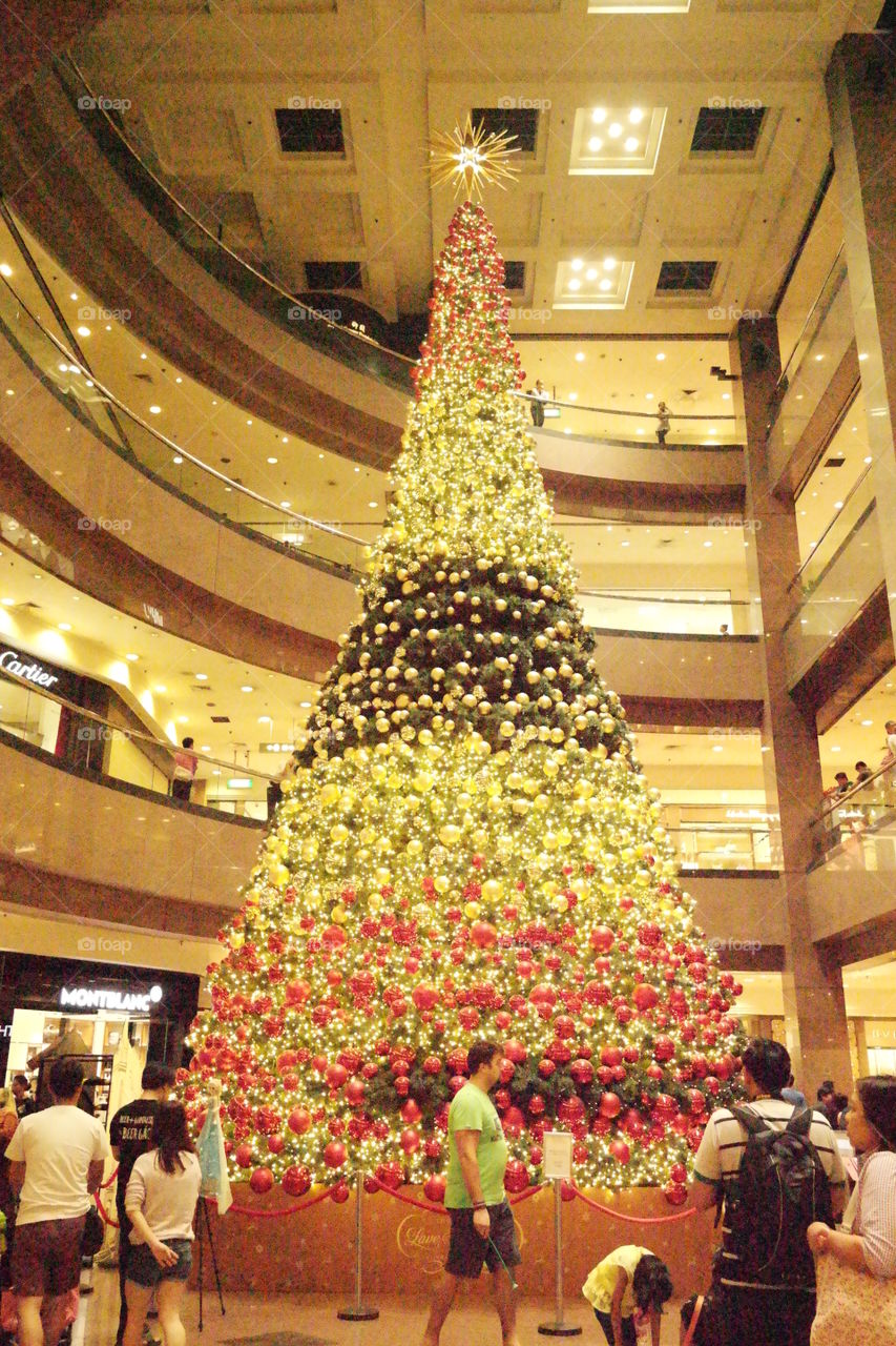 Christmas Tree Tall 2015