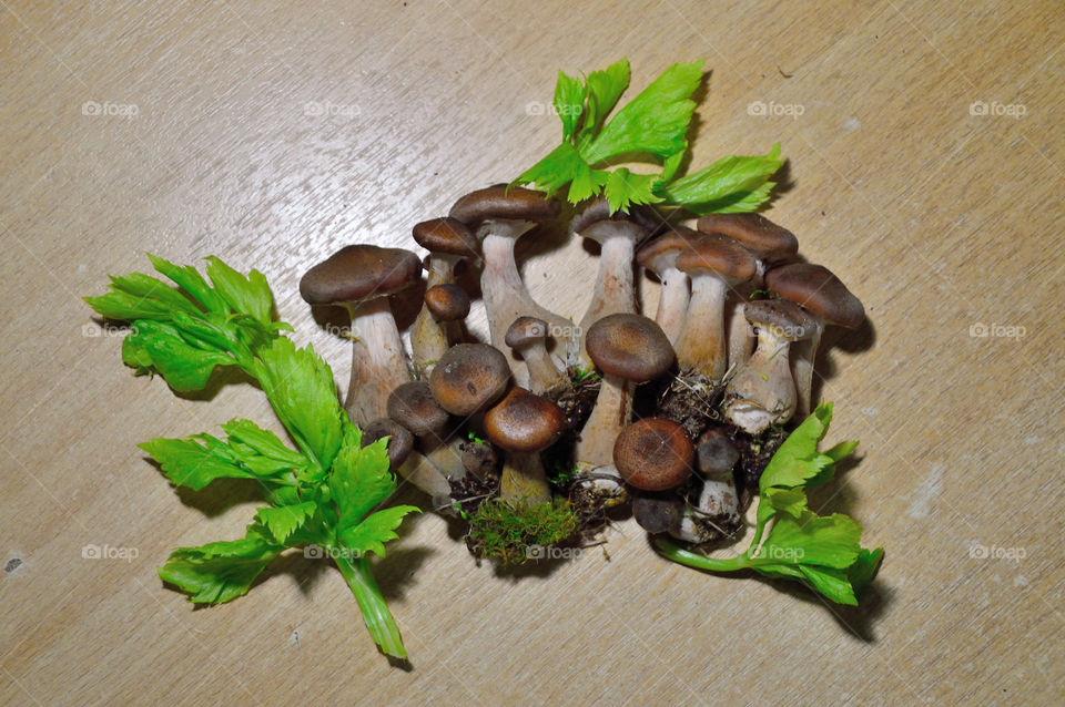 mushrooms on the table