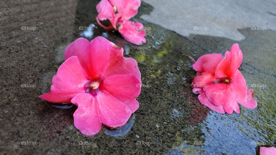 Im gonna soak up the sun