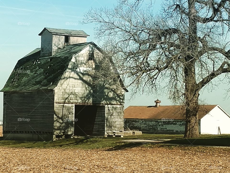 barn
