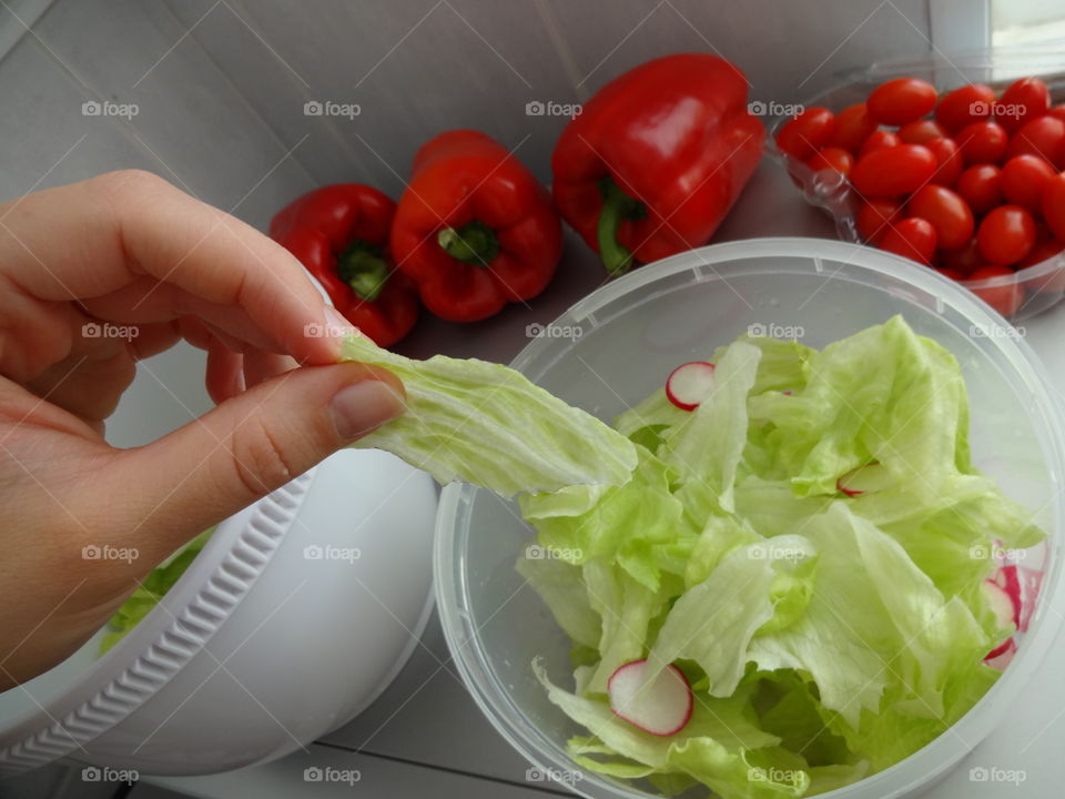 Fresh and colorful salad ingredients