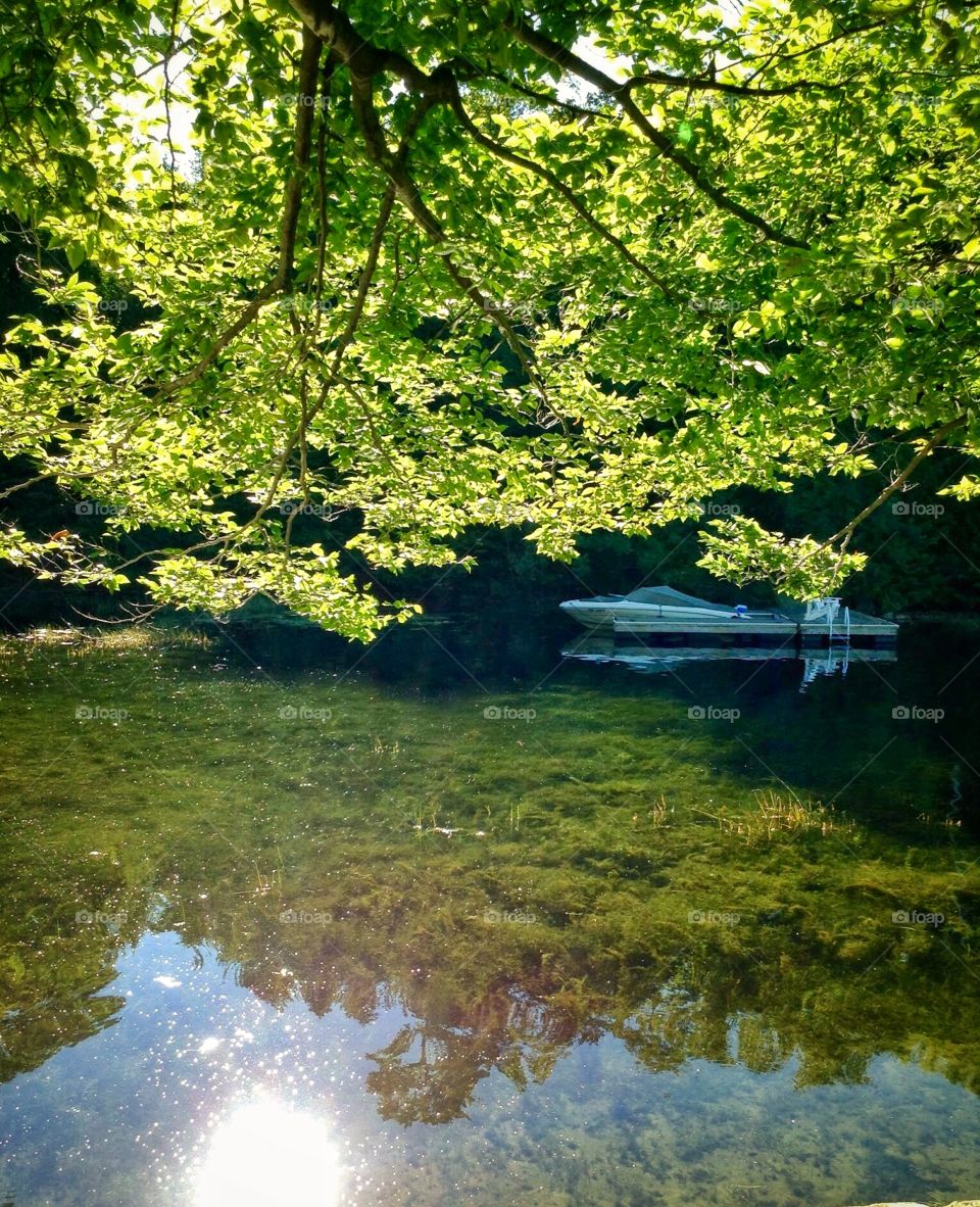 Crystal clear . A peaceful moment at the cottage.