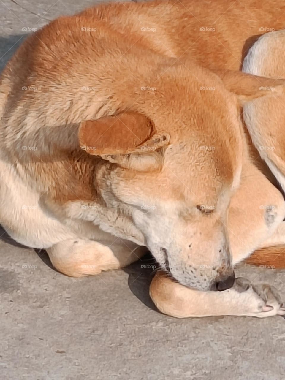 sleeping and feeling comfortable