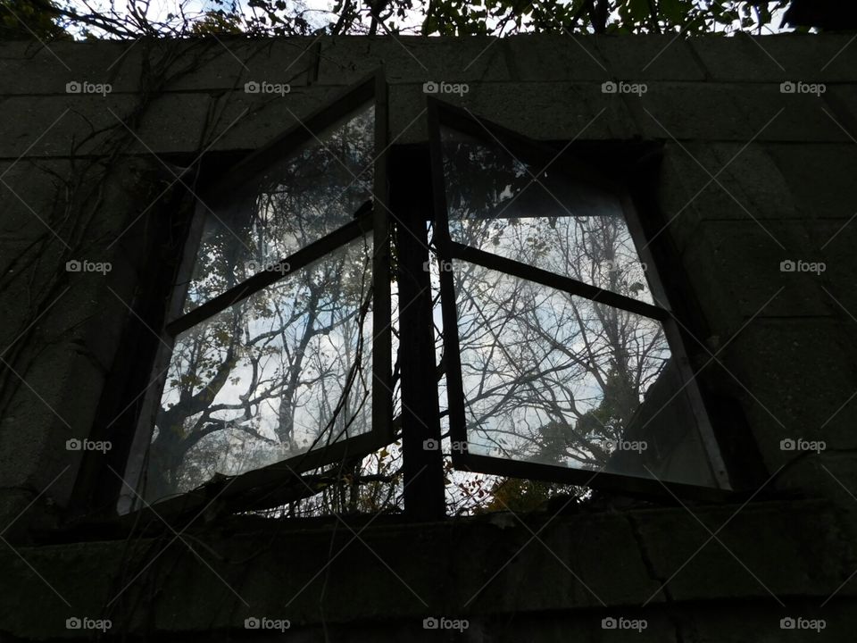 abandoned building window