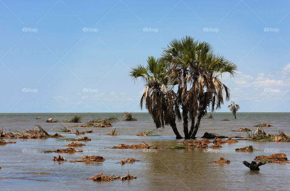 Turkana lake  kenya