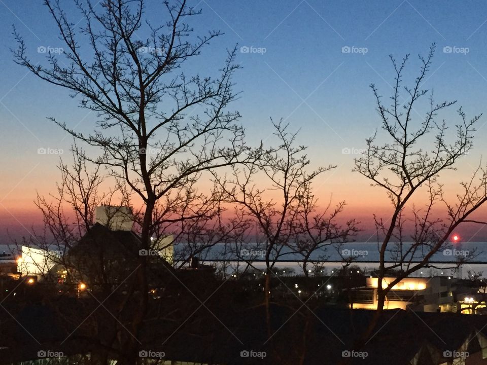 Trees and Sunset in Cleveland Ohio 