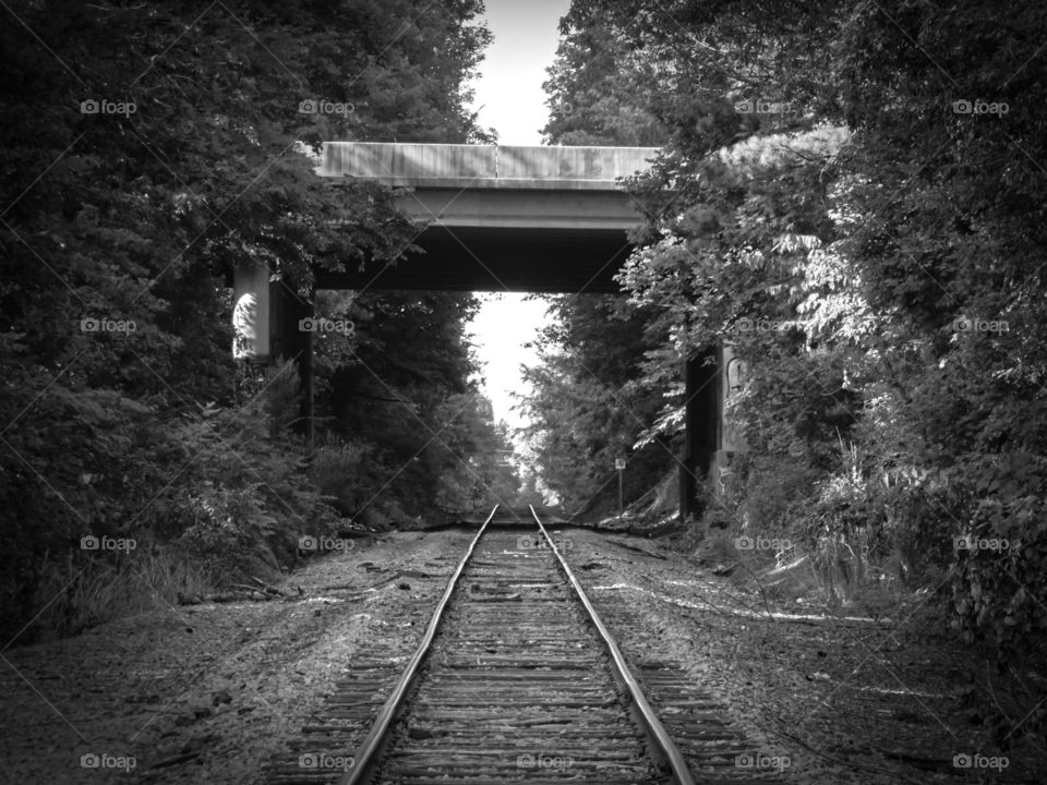 Railroad track can be the prettiest thing ever, especially in black and white.