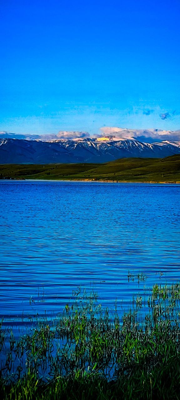 Mountain Love