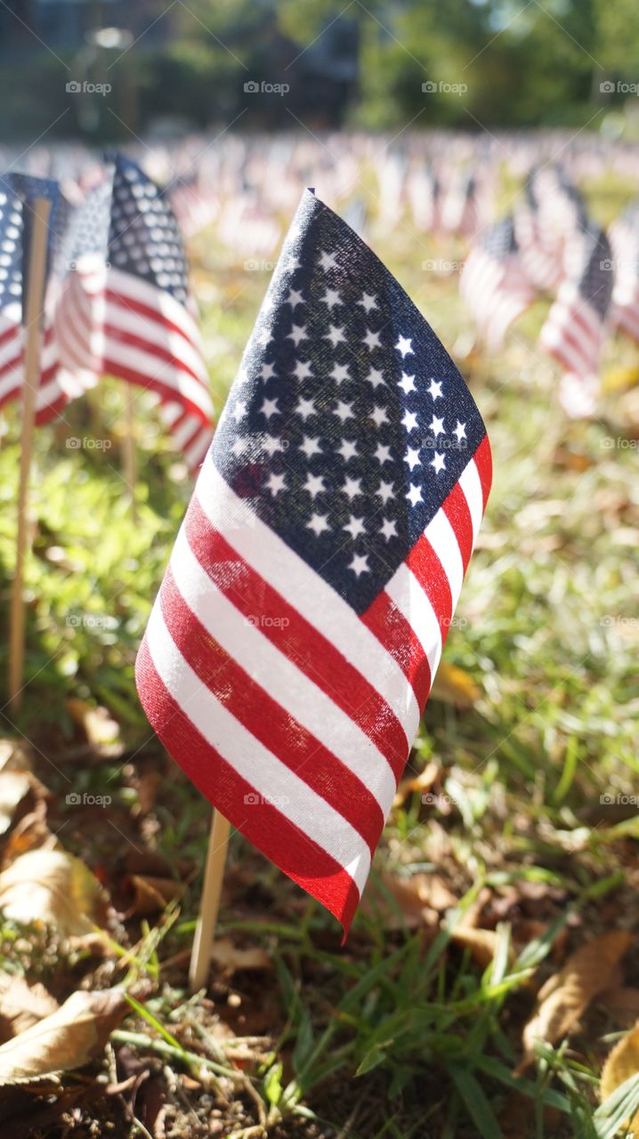 In their memory a field of American flags 