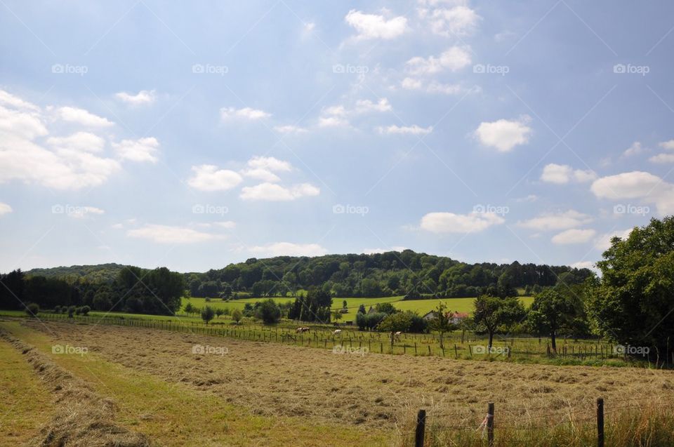 Farm Between The Hills.