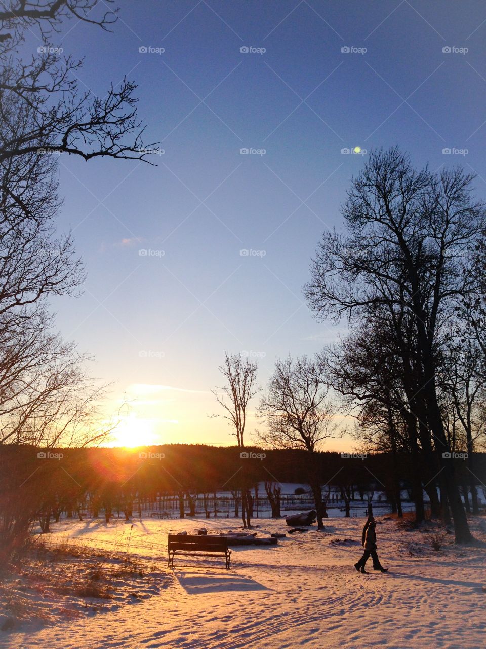 winter afternoon sweden